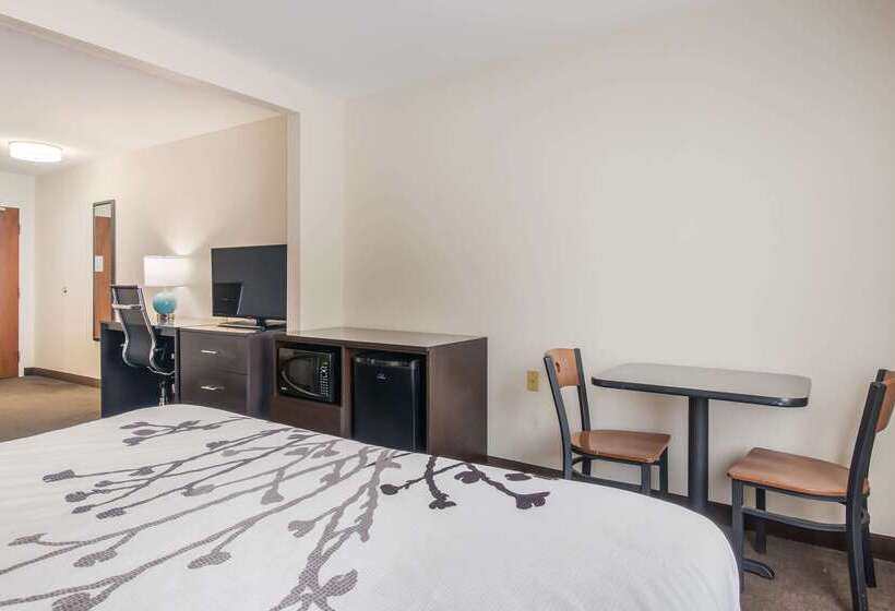 فندق Sleep Inn & Suites
