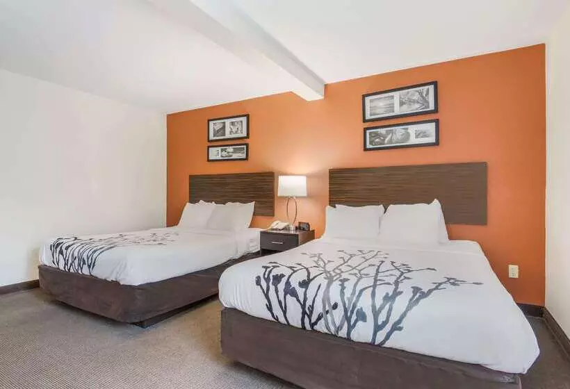 Отель Sleep Inn & Suites