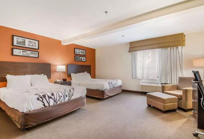 Отель Sleep Inn & Suites