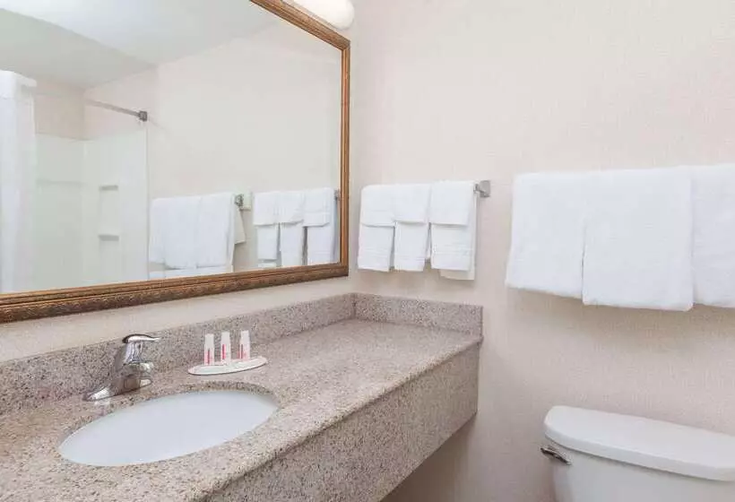 فندق على الطريق Days Inn By Wyndham Albany Suny