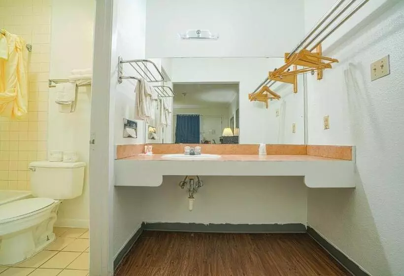 汽车旅馆 Knights Inn Kingsville