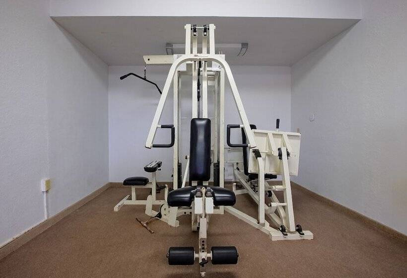 فندق على الطريق Knights Inn Kingsville