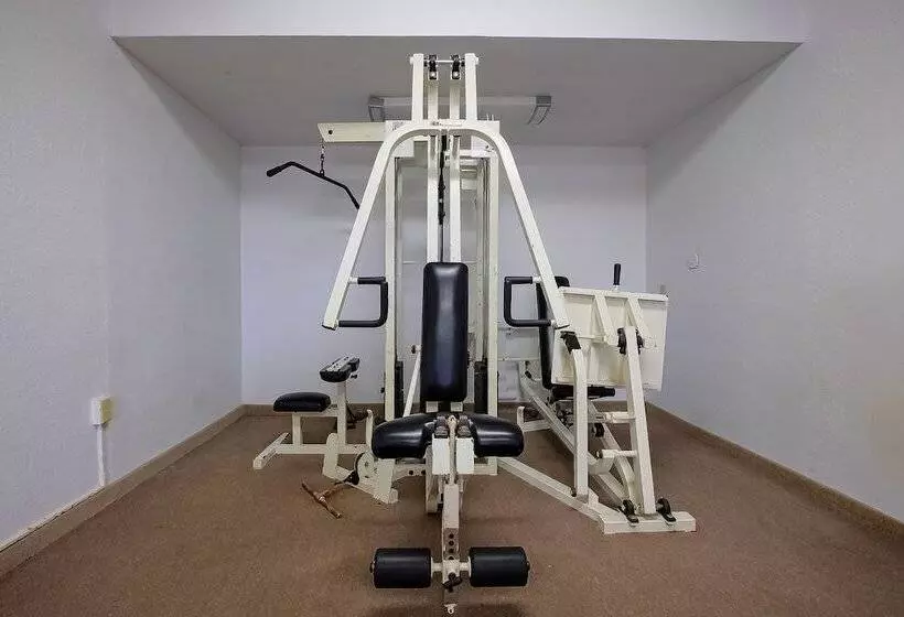 汽车旅馆 Knights Inn Kingsville