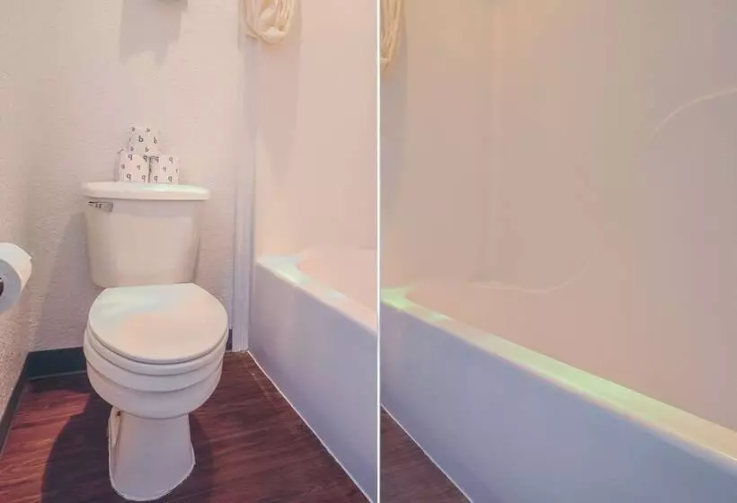 汽车旅馆 Knights Inn Kingsville