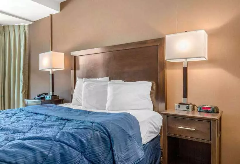 モーテル Rodeway Inn