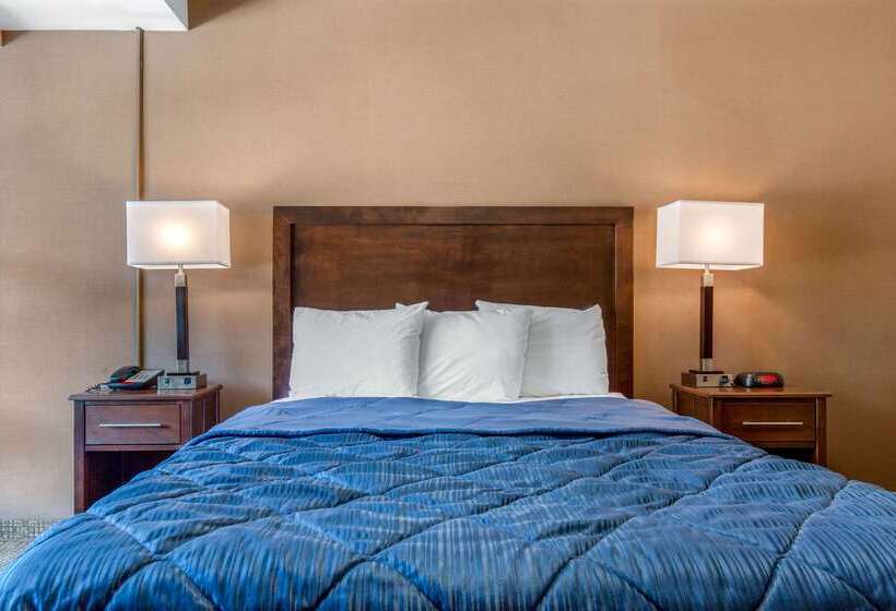 فندق على الطريق Rodeway Inn