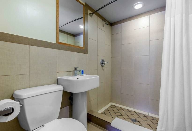 فندق على الطريق Rodeway Inn