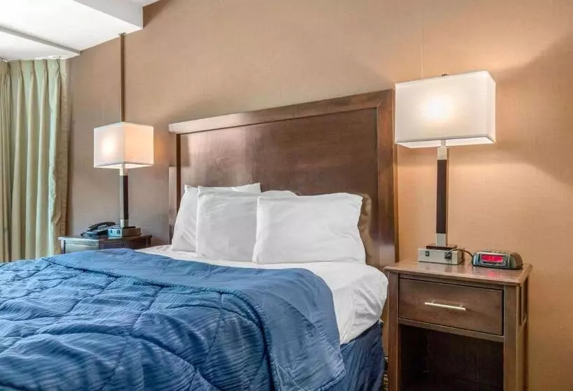 モーテル Rodeway Inn