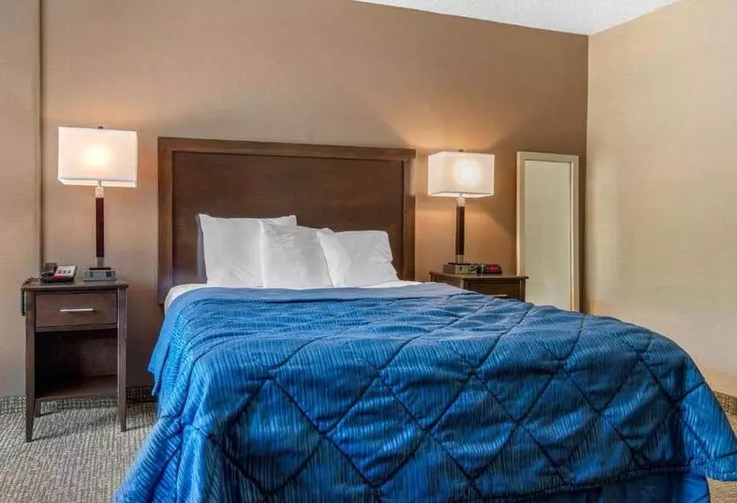 モーテル Rodeway Inn