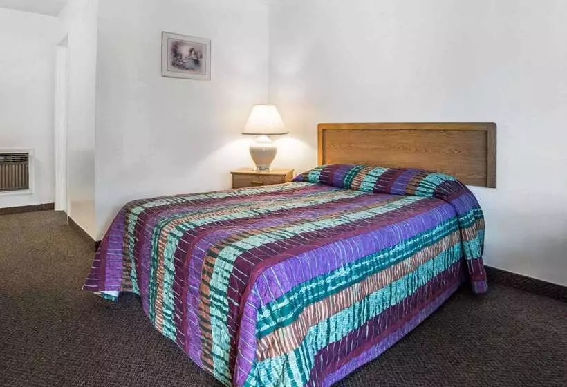 汽车旅馆 Rodeway Inn & Suites