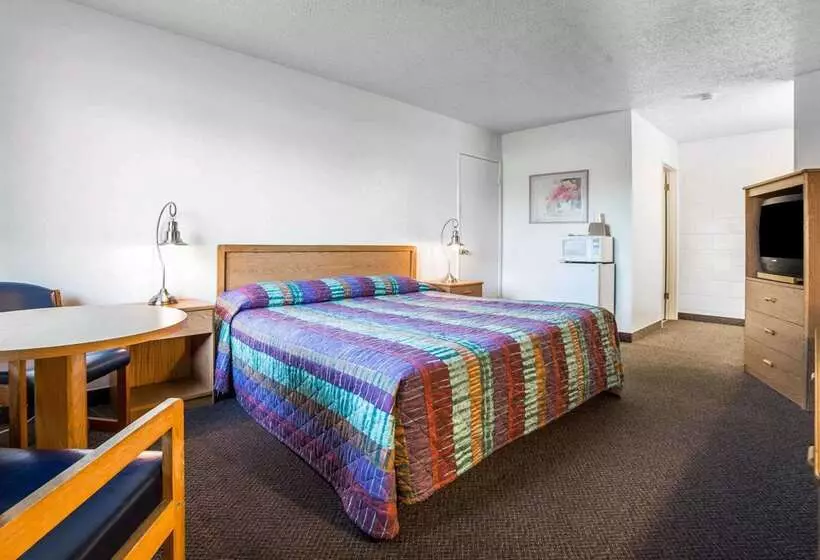 汽车旅馆 Rodeway Inn & Suites