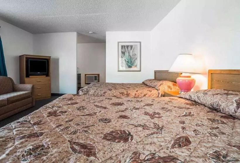 汽车旅馆 Rodeway Inn & Suites