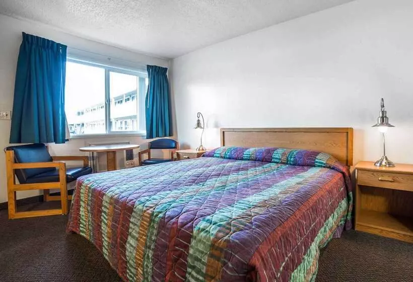 汽车旅馆 Rodeway Inn & Suites