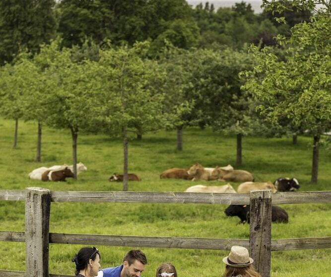 مبيت وإفطار Domaine De La Tour