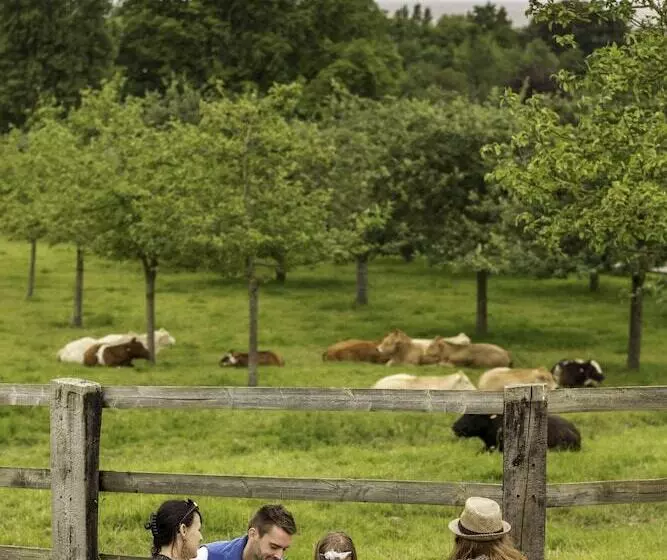 ベッドアンドブレックファースト Domaine De La Tour