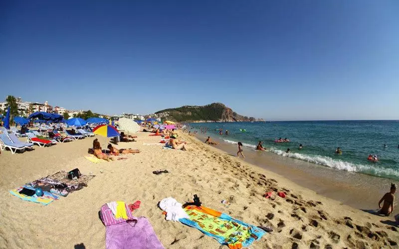 בית מלון כפרי Ark Apart And Suite