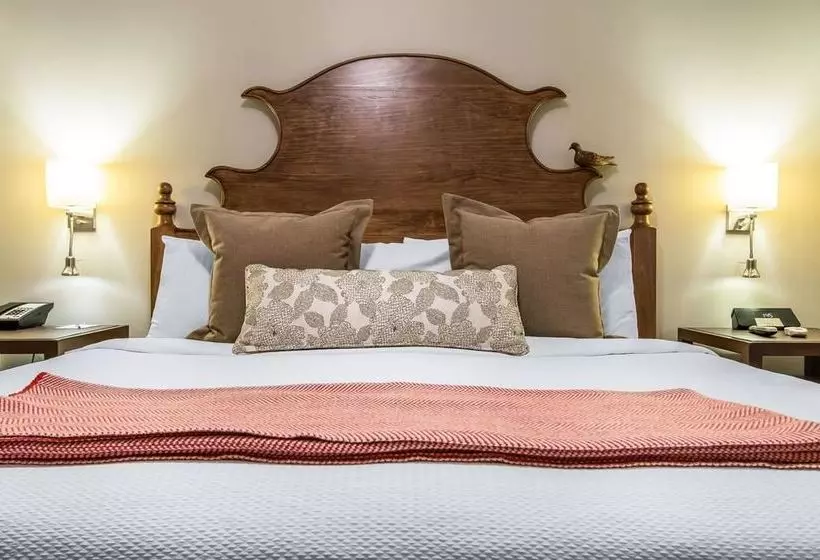 בית מלון כפרי Bluegreen Vacations Studio Homes At Ellis Square Ascend Resort