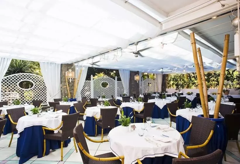 Отель Central Park Terme