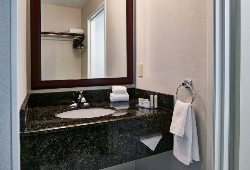 בית מלון כפרי Fairfield Inn & Suites Detroit Livonia