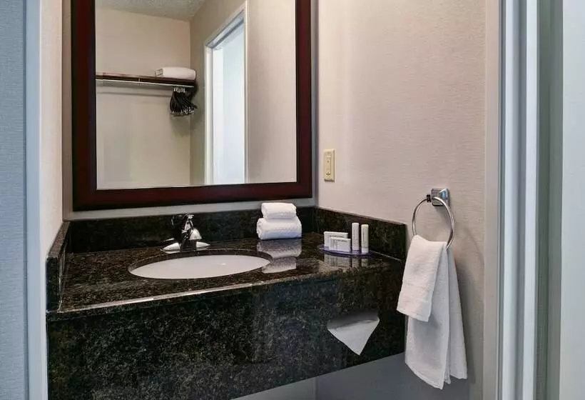 호텔 Fairfield Inn & Suites Detroit Livonia