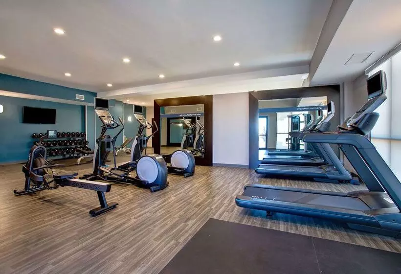 Hotel Hampton Inn & Suites Borger