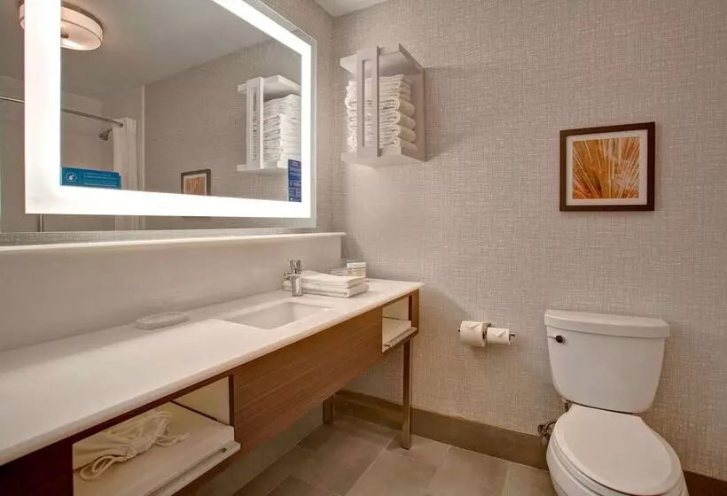 Hotel Hampton Inn & Suites Borger