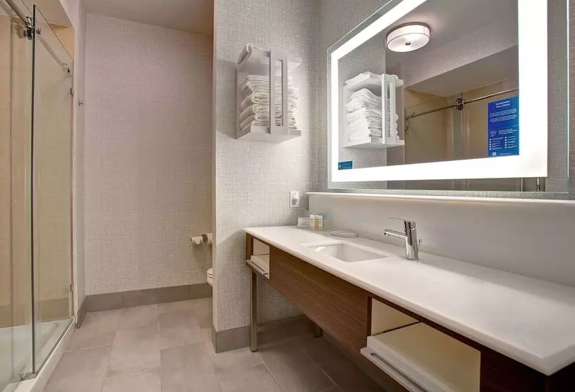 Hotel Hampton Inn & Suites Borger