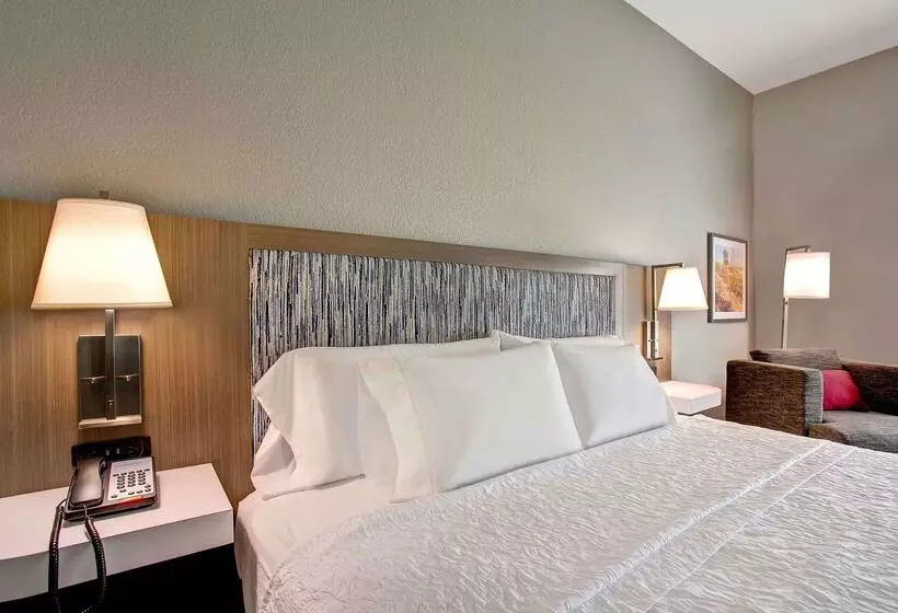 Hotel Hampton Inn & Suites Borger