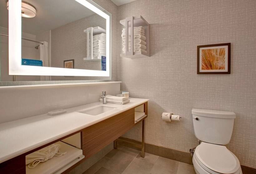 Hotel Hampton Inn & Suites Borger