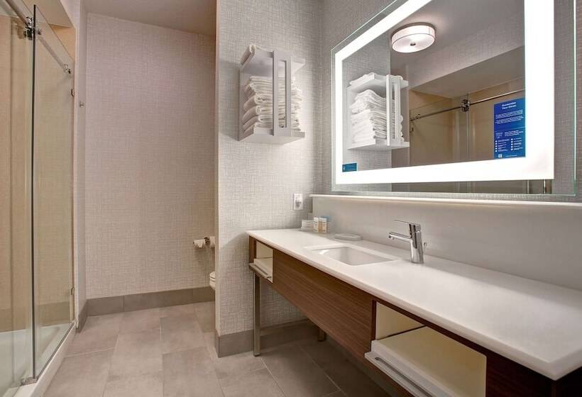 Hotel Hampton Inn & Suites Borger