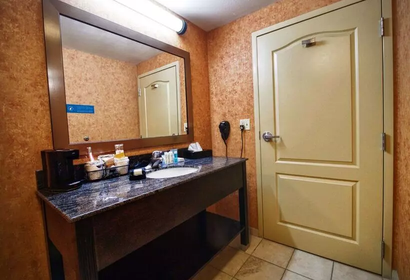 فندق Hampton Inn & Suites Elk City