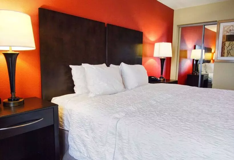 فندق Hampton Inn & Suites Elk City