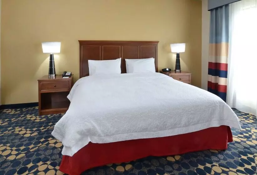 ホテル Hampton Inn & Suites Lynchburg