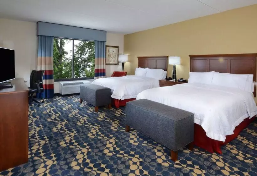 ホテル Hampton Inn & Suites Lynchburg