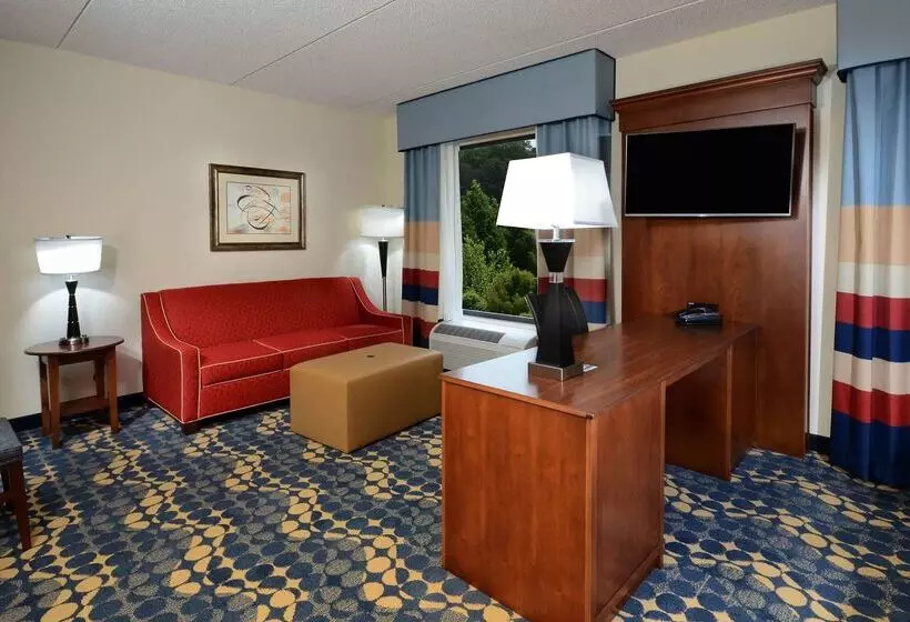 ホテル Hampton Inn & Suites Lynchburg