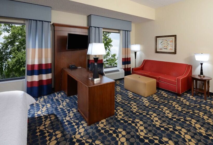 هتل Hampton Inn & Suites Lynchburg