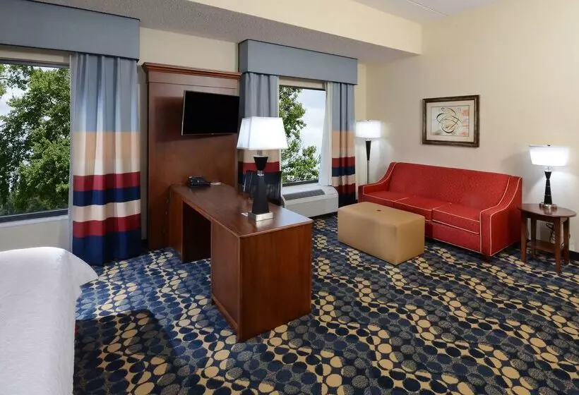 ホテル Hampton Inn & Suites Lynchburg