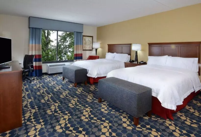 ホテル Hampton Inn & Suites Lynchburg