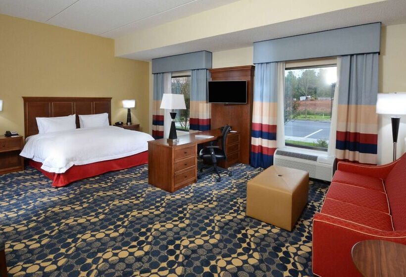 هتل Hampton Inn & Suites Lynchburg
