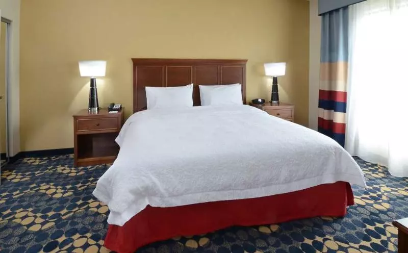 ホテル Hampton Inn & Suites Lynchburg