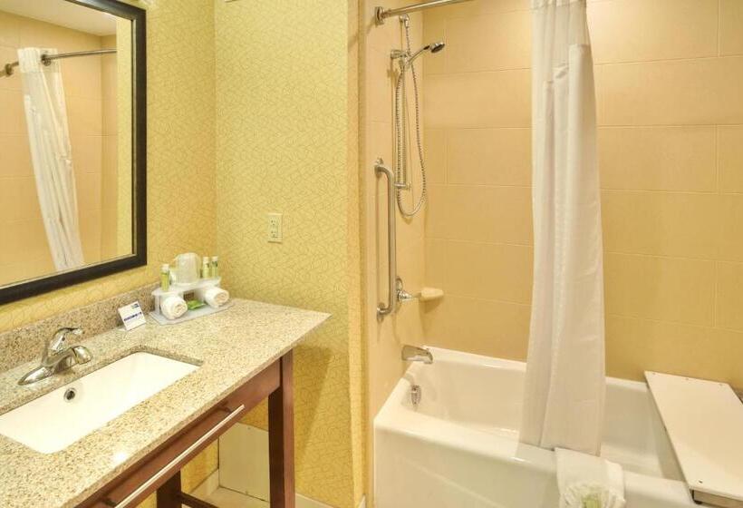 ホテル Holiday Inn Express Frankenmuth, An Ihg
