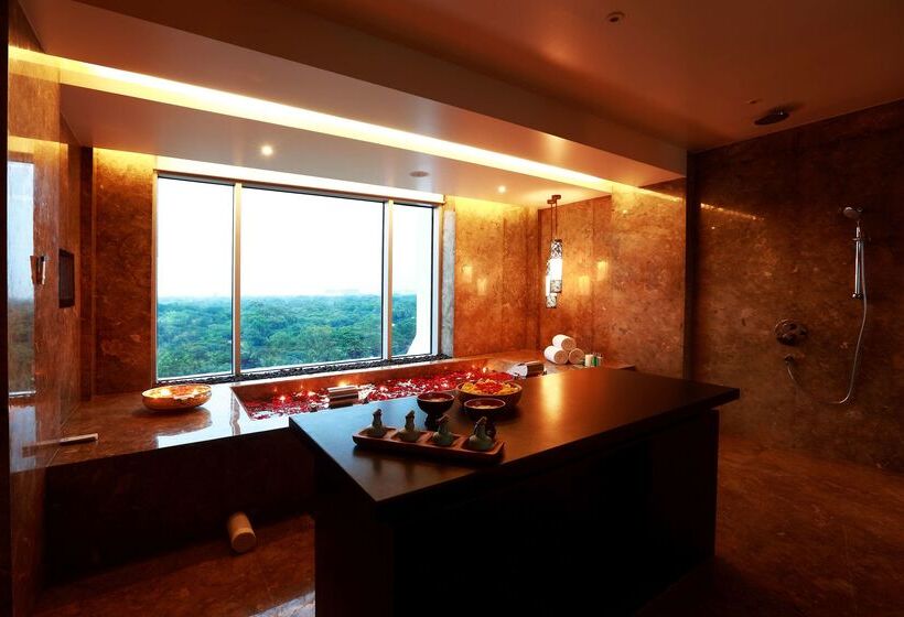 בית מלון כפרי Park Hyatt Chennai