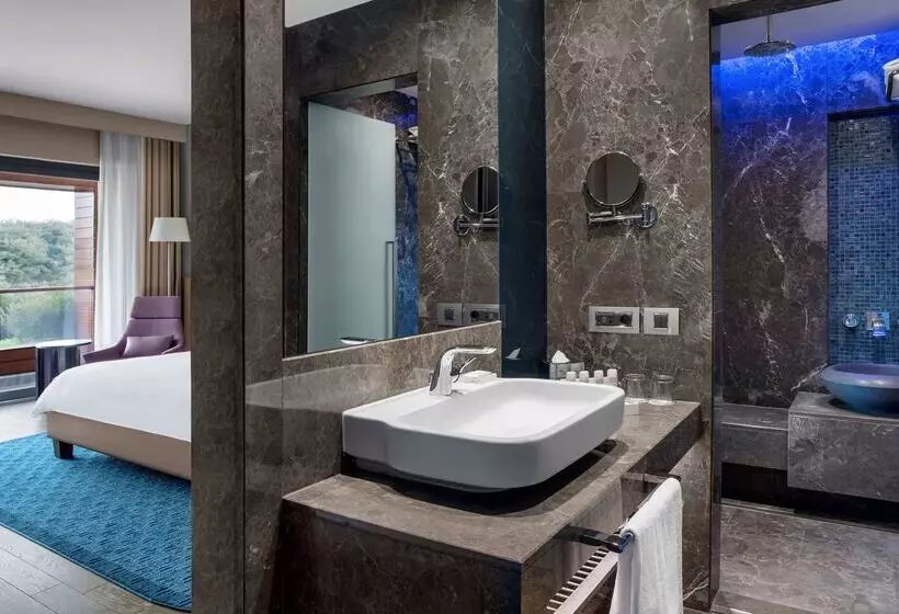 Radisson Blu Hotel & Spa, Istanbul Tuzla
