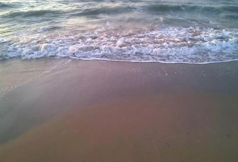 בית מלון כפרי The Wave