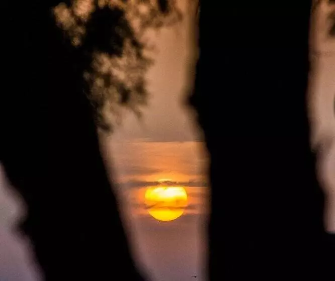 בית מלון כפרי The Wave