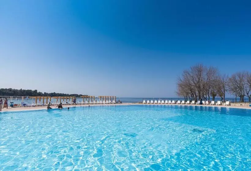 Apartments Katoro Plava Laguna