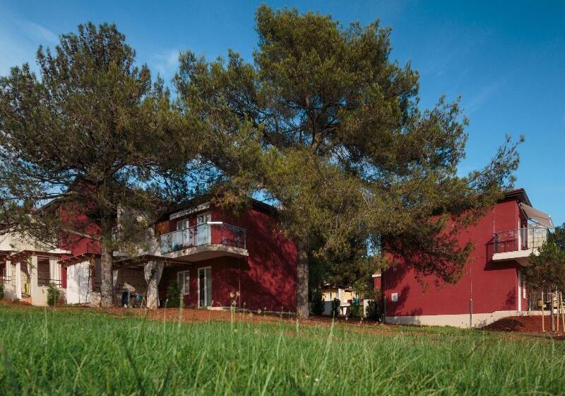 Apartments Katoro Plava Laguna