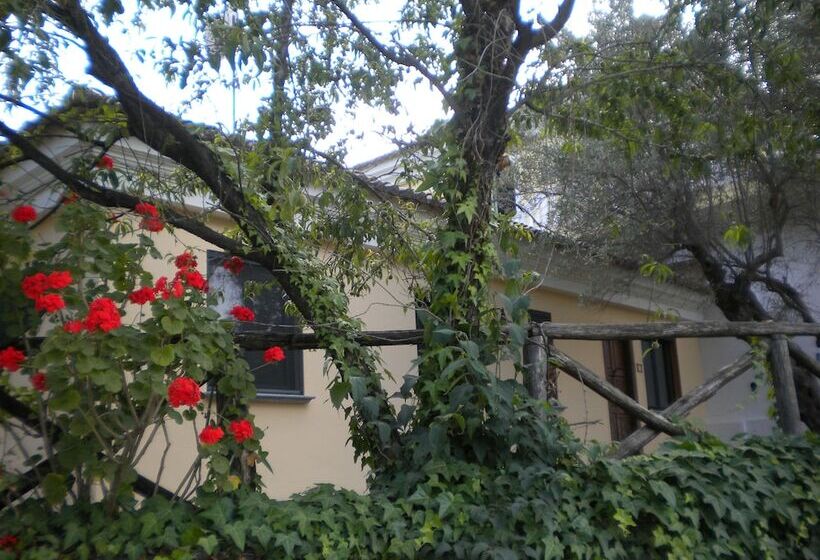 Bed and Breakfast Tenuta Castellesi