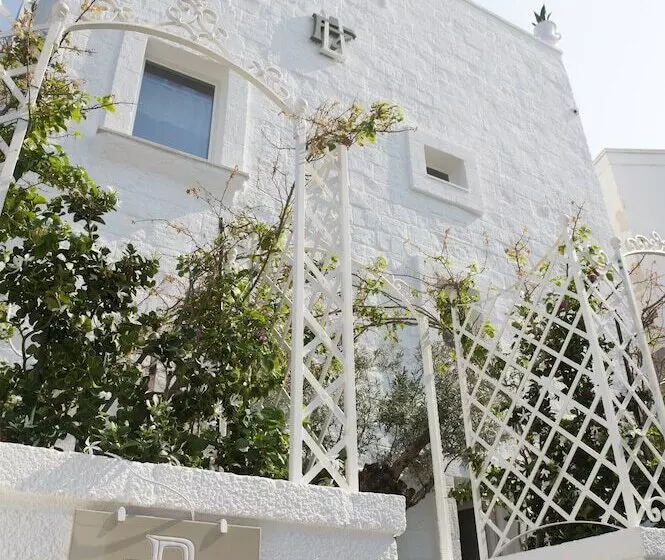 Отель Don Ferrante