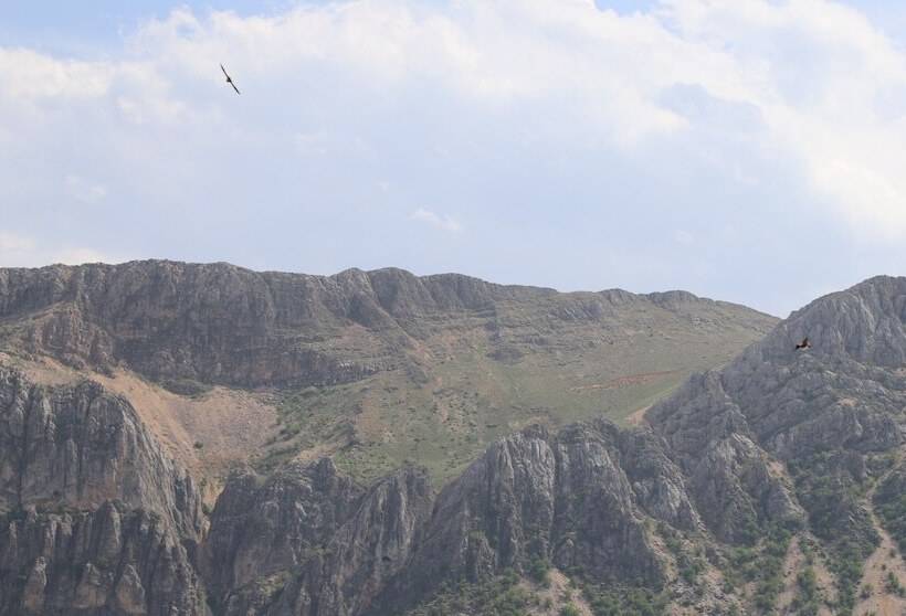 酒店 Euphrat Nemrut